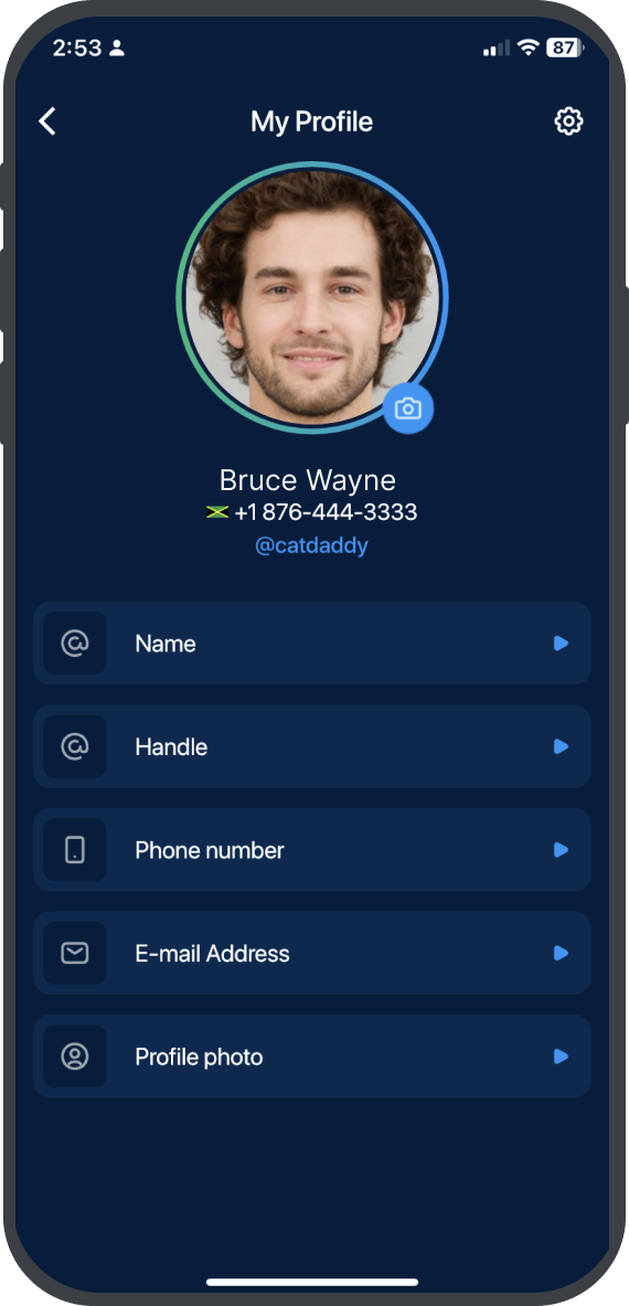 What is the Senit Profile? Senit